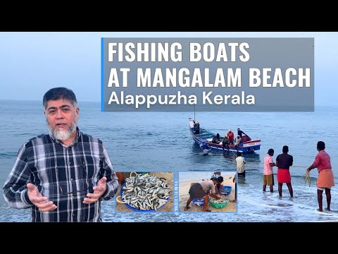 Fishing Boats at Mangalam Beach | Alappuzha, Kerala