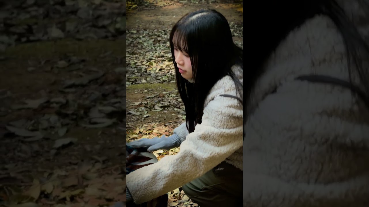 結界ブッシュ 記録09：迷森腰掛 / Log 09: FOREST CHAIR #cinematic #アウトドア