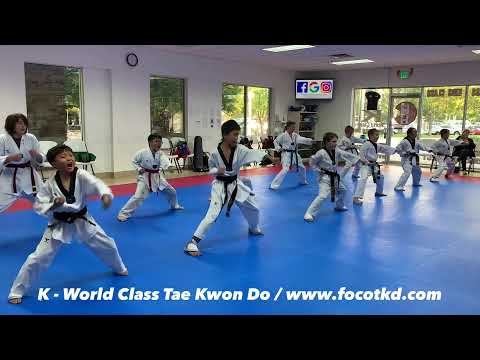 K - World Class Tae Kwon Do