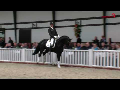 Finest Selection at the 2017 Lodbergen Spring Breeders Meeting