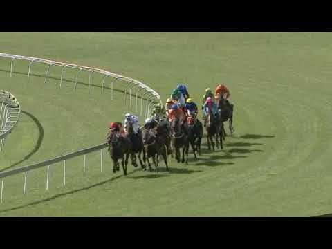 Nordic Queen - Turffontein 23/3/20