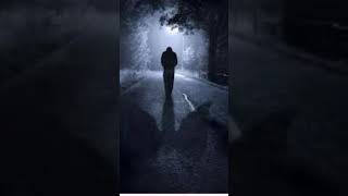 EL MOYA— Nunca te llore— Pikete prod (oficial audio)