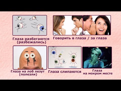 Слово к слову: Глаз. Часть 6