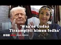 Dubartii Oromoo Tiraampitti Huccuu Abbaa Gadaa Uwwisuu Barbaaddu BBC News Afaan Oromoo