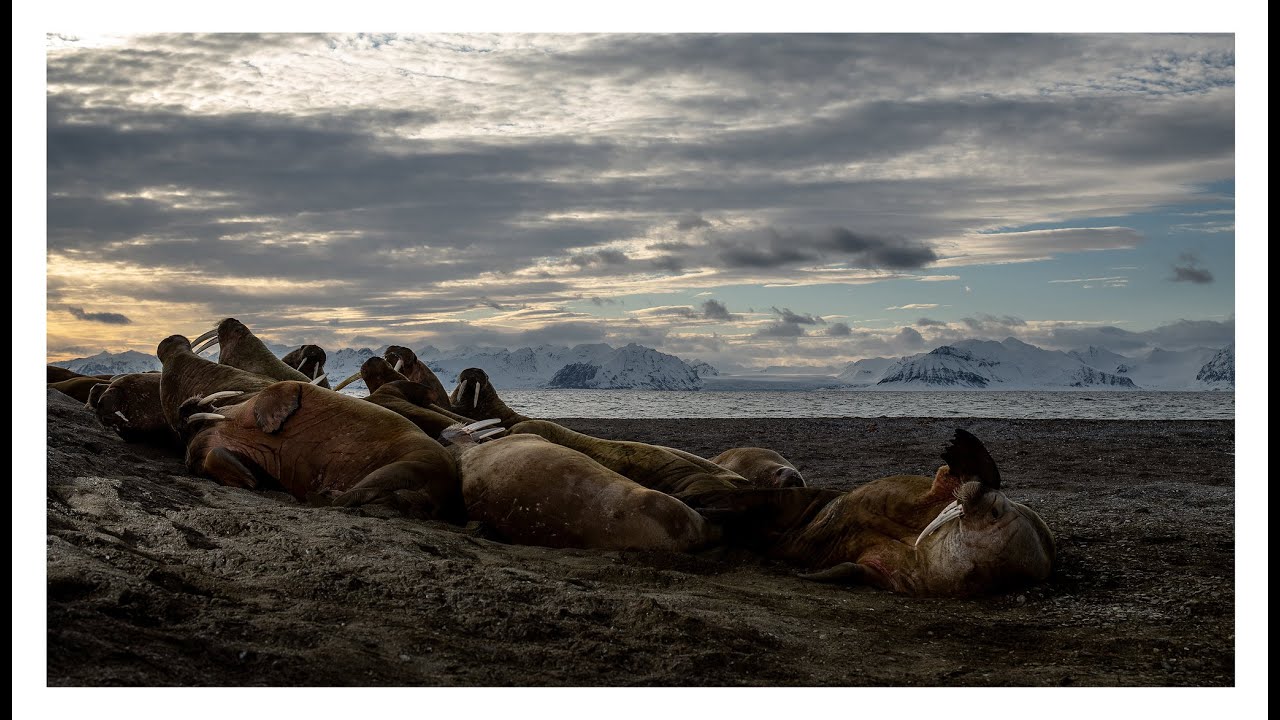 Svalbard