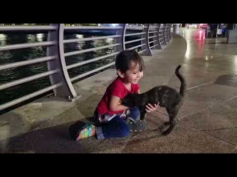Arshia is Playing with cat 🐈 😻
