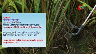 বাদামী গাছ ফড়িং দমন ব্যবস্থাপনা