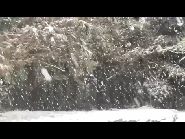 Snow falls in Taiwan’s mountainous areas
