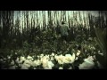 Graham Coxon - Sorrows Army