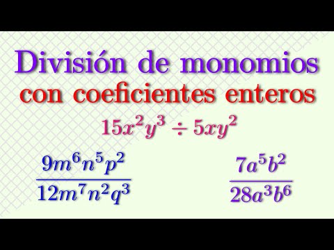 Division of monomials with integer coefficients | Chapingo
