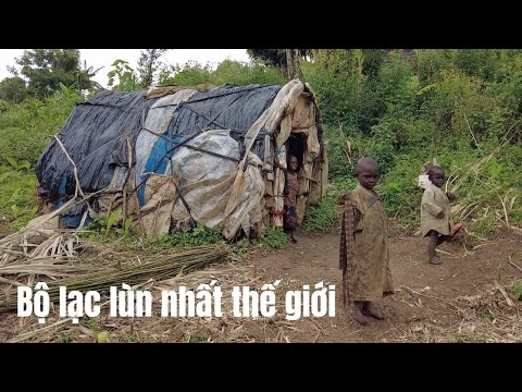 Pygmy là bộ lạc người lùn ở những nước vùng Trung Phi. Cùng tới thăm ngôi làng của bộ lạc này ở CHDC Congo.
#dulich #trainghiem #phuot #langthang #chauphi #dulichcha...
