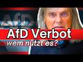 The Ban Strategy Against The AfD Prof Dr Christian Rieck