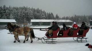 preview picture of video 'A sleigh ride at The Resort at Paws Up in Montana'