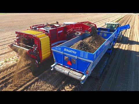 Harvesting Potatoes in California with the Crop Shuttle