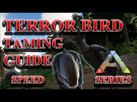 How to Capture a Terror Bird | Ark Dino Taming Guide | Speed Series | #shorts