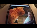Super Luigi Brandon The Garfield Movie Teaser Trailer 2003 Breakin Meyer On March 27 2003