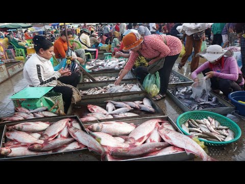 Chhbar Ampov Fish Market in The Morning - Plenty Fresh Fish, Alive Fish, Seafish, Crab, Eel & More