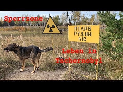 Sperrzone - Leben in Tschernobyl