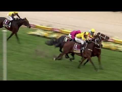 2019 Ladbrokes Cox Plate - The Greatest...