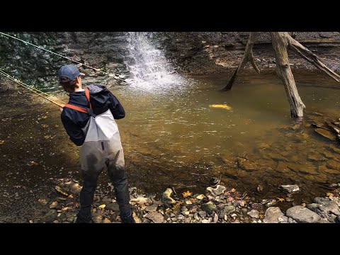Insane Waterfall Steelhead Hookups - Bobber Downs + Fly Fishing!