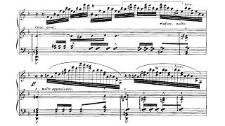 Download lagu Liszt - Fantaisie sur des motifs favoris de l'opéra 'La sonnambula', S393i (Han Chen) mp3 Download lagu Liszt - Fantaisie sur des motifs favoris de l'opéra 'La sonnambula', S393i (Han Chen) mp3