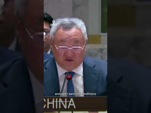 China’s UN envoy calls for genuine and lasting ceasefire in Gaza