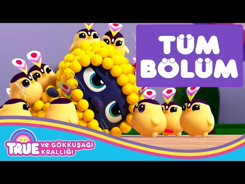 Hadi Hop Yaygara - TÜM BÖLÜM - True ve Gökkuşağı Krallığı 🌈  Çizgi Film - Cartoon Network