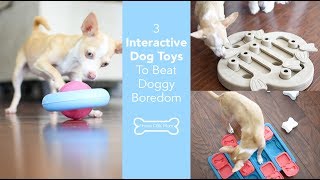 3 Favorite Interactive Dog Toys To Beat Doggy Boredom | Proud Dog Mom