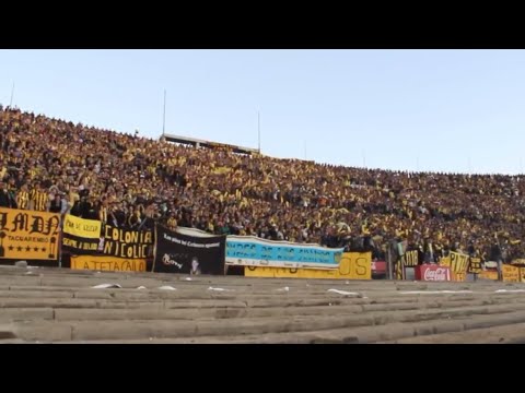"Esta es la banda del Carbone" Barra: Barra Amsterdam &bull; Club: Peñarol