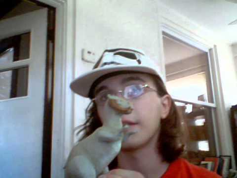 Star Wars Tauntaun toy comparison (1980 vs 2011)