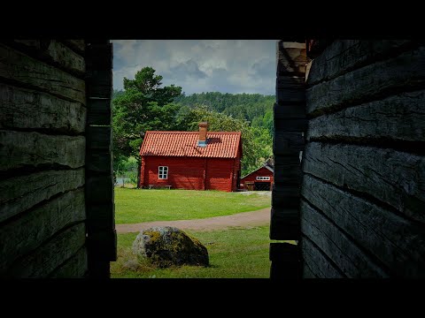 Manse x Avicii x Martin Garrix - Summer Rain X SOS X Together (Galloz Mashup)