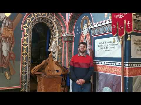 Stef Mihnea - Preasfântă Maică și Fecioară