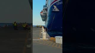 carnival Vista #cruisedestination #trending Turks and Caicos Island #viral #shorts