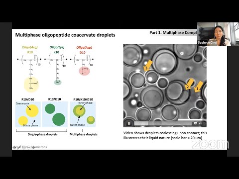 Coacervates in Prebiotic Chemistry - Saehyun Choi - McCauley Meyer - Christine Keating