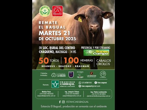 Remate el Bagual - Soc.Rural del Centro Chaqueño, Machagai - Chaco