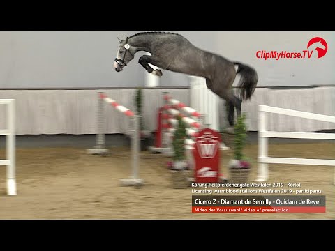 Hengst v. Cicero Z - Diamant De Semilly - Quidam de Revel