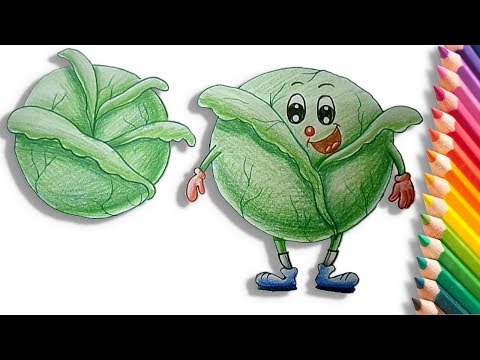 How to Draw a Cabbage Easy Step by Step for Kids – Learn Drawing and ...
