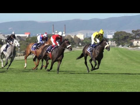 Queen's Plate - who you should bet on!