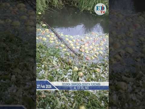 Segunda granizada devasta Yunchará al sur del país
