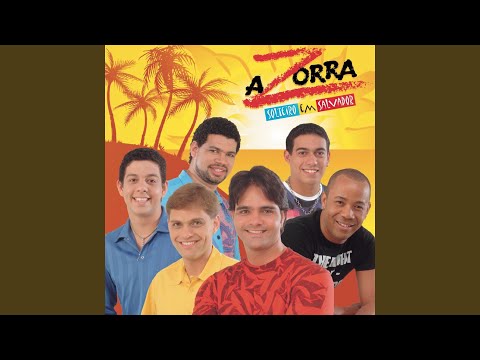 Solteiro em Salvador - Zorra