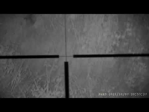 noćni lov lisice fox night hunt