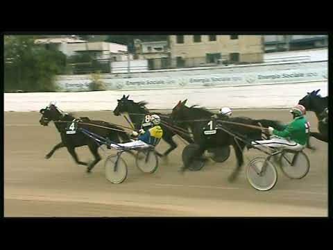 Trotto 13/11/2020 - 1ª corsa