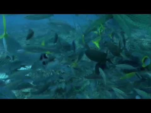 Cameraman BBC "Human Planet"