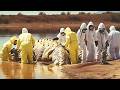 Top 10 Lakes That Revealed Something Terrifying When They Dried Up