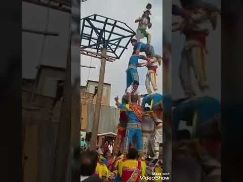 Negrillos de andahuaylas 2020