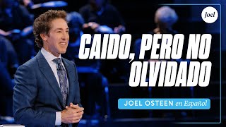 Caído pero no olvidado | Joel Osteen