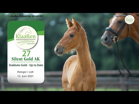 Hofauktion Klaaßen Katalog-Nr.27 Silent Gold AK Hengst v. Stakkato Gold - Up to Date