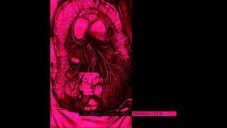 Atrax Morgue & Contagious Orgasm | Forced Entry / N.C.W. | 1996 | FLAC