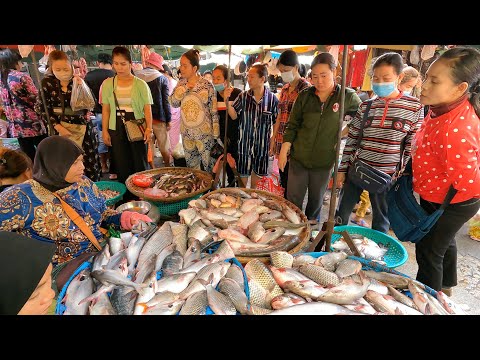 Amazing Market Food Scenes & Cambodian People Activities @Chhbar Ampov Market - Market Scenes