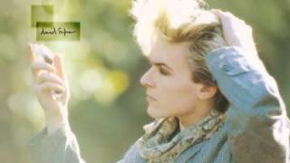 David Sylvian - Let the Happiness In